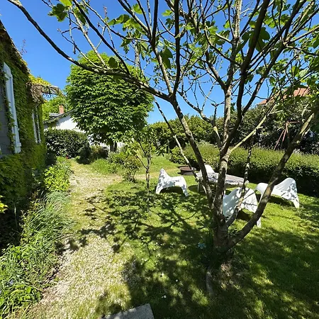 Cottage-saint Laurent Sur Sevre Vakantiehuis *